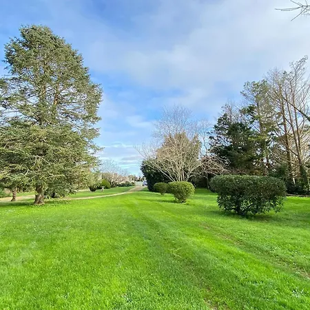 Semi-detached House On A Vineyard, Talais, Cleaning Included * Talais